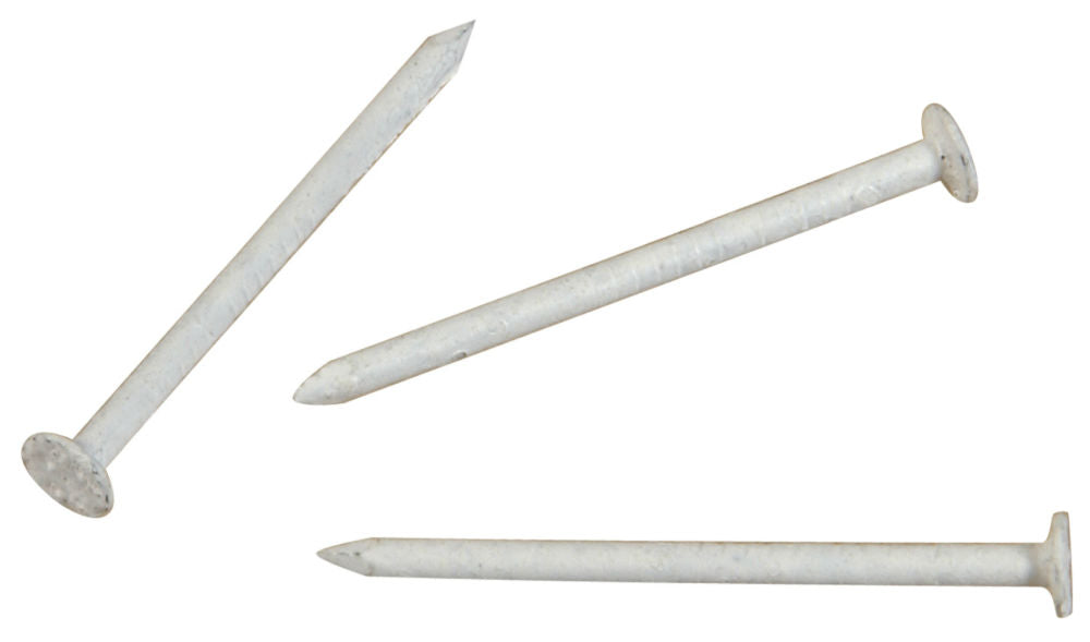 Hillman Fasteners™ 461819 Stainless Steel Nails, White, 1.25" x 15, 6 Oz