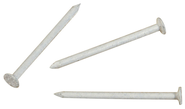 Hillman Fasteners™ 461819 Stainless Steel Nails, White, 1.25" x 15, 6 Oz