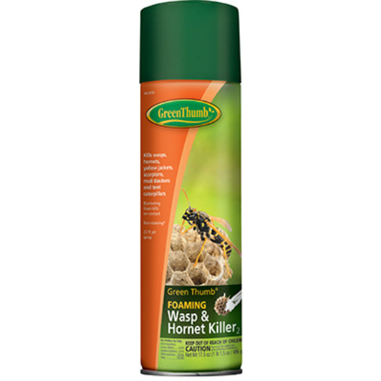 Green Thumb 562850A Foaming Wasp & Hornet Spray, 17.5 Oz