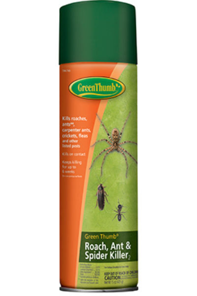 Green Thumb 596700A Ant & Roach Killer Aerosol, 15 Oz