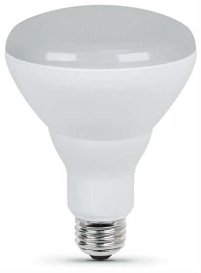 Feit Electric BR30/650/LED/HBR Homebrite® Smart LED Bulb, 9 Watt