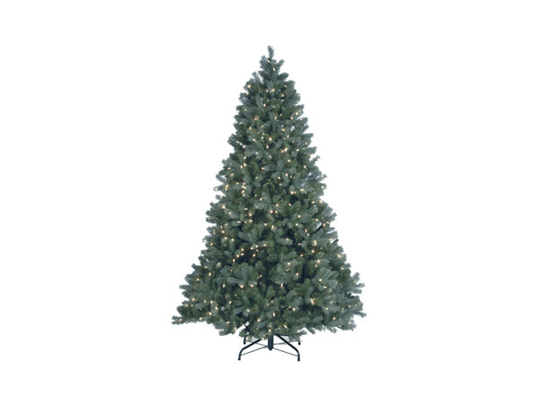 National PEDDB4-W02-75 Douglas Blue Fir Artificial Christmas Tree 7.5', 700 LED Light