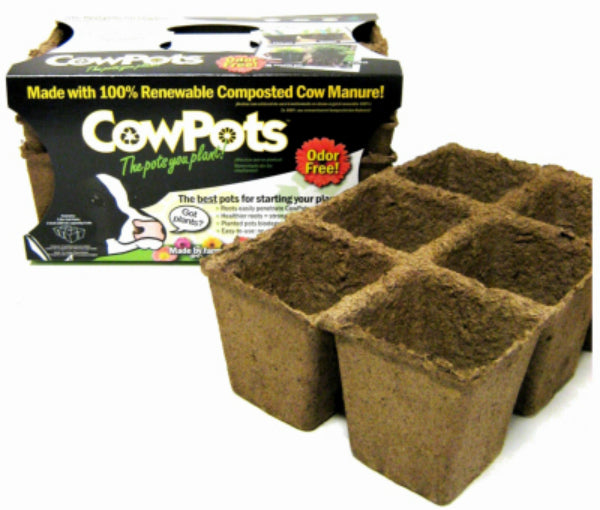 CowPots™ CP-SIXCELL-3PK-12PKS SixCell Flat Seed Starting Tray, 3", 3-Pack