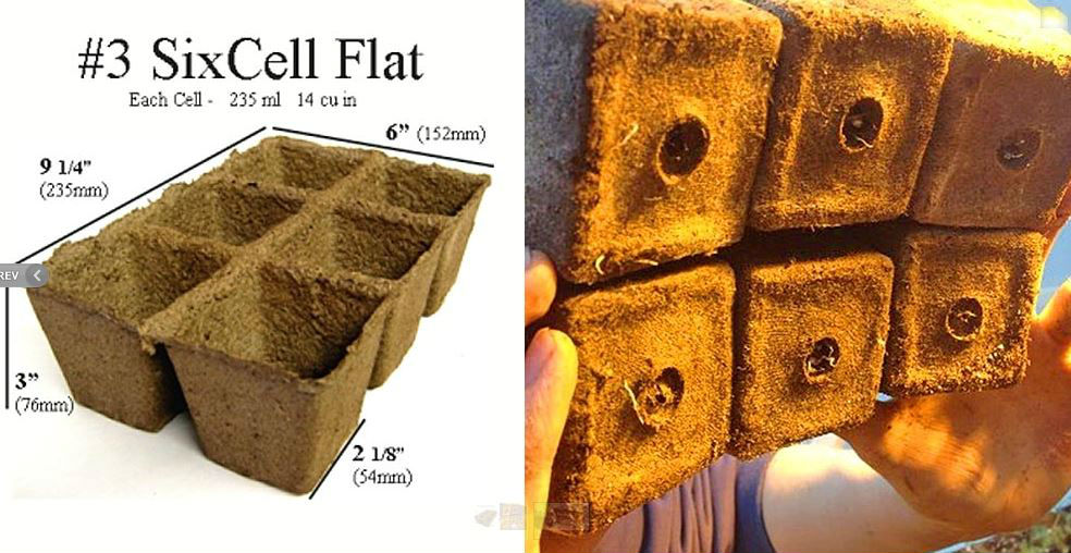 flat pot for plants CowPots™ CP-SIXCELL-3PK-12PKS SixCell Flat Seed Starting Tray, 3", 3-P – Toolbox Supply