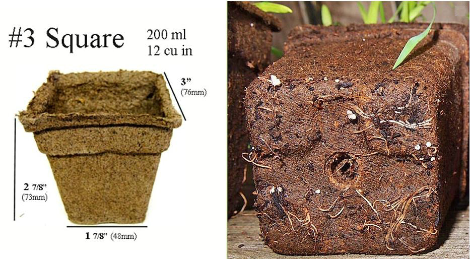 CowPots™ CP-3-SQ-12PK-12PKS Biodegradable Plant Pots, Square, 3", 12-Pack