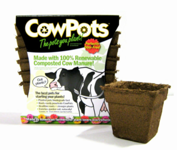 CowPots™ CP-4-SQ-12PK-12PKS Biodegradable Plant Pots, Square, 4", 12-Pack