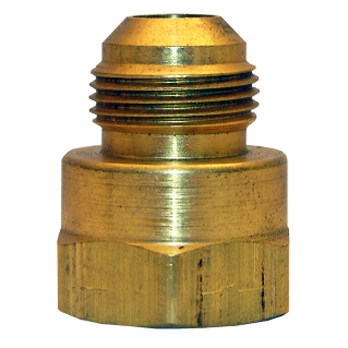 Lasco 17-4677 Brass Flare Adapter, 15/16" MFL x 1/2" FPT