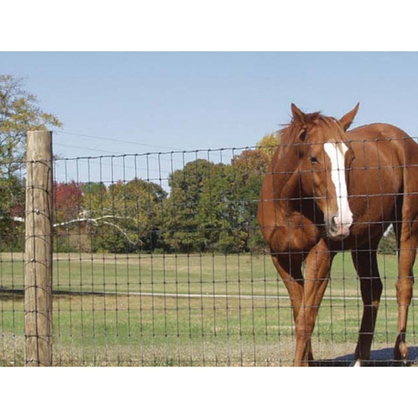 Bekaert 134801 Gaucho® Non-Climb Horse Fence, Bezinal®+ UV Coating, 48" x 100'