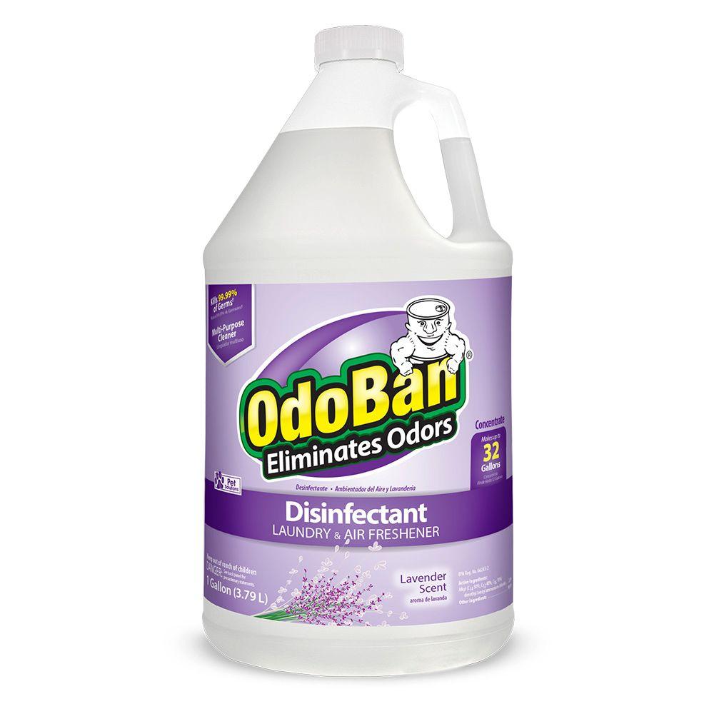 OdoBan® 911101-G4 Odor Eliminator & Disinfectant Concentrate, Lavender, Gallon