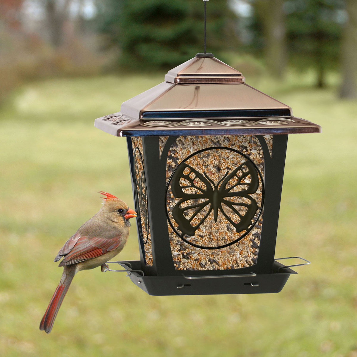 Audubon NA32321 Hopper Style Bird Feeder with Butterfly Accents