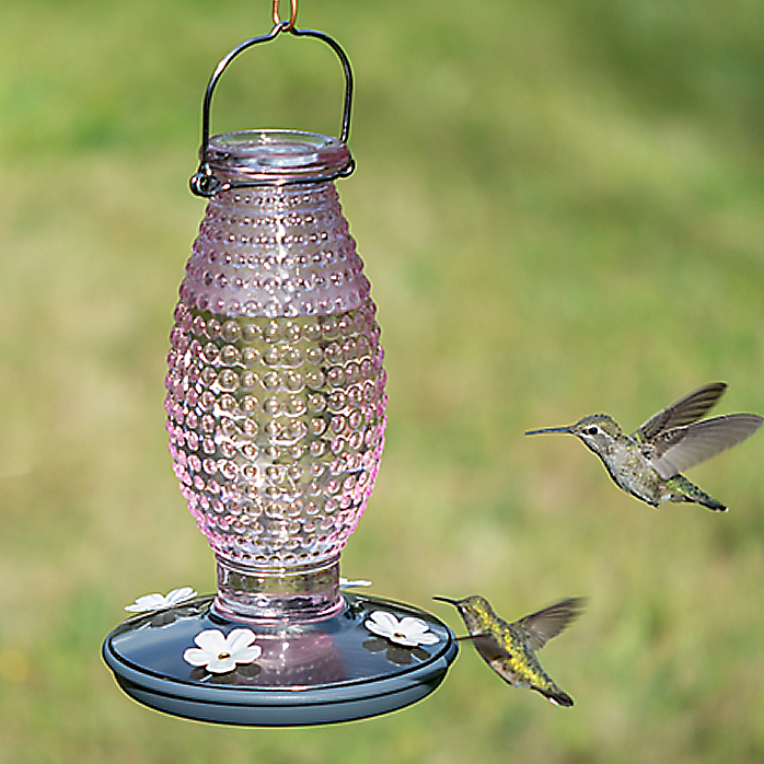 Perky-Pet® 8131-2 Cranberry Hobnail Vintage Hummingbird Feeder, Pink