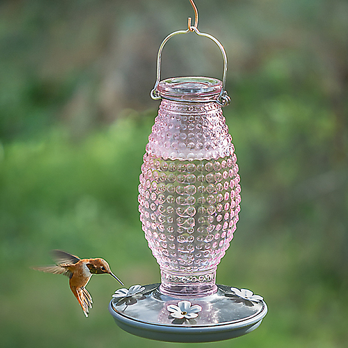 Perky-Pet® 8131-2 Cranberry Hobnail Vintage Hummingbird Feeder, Pink