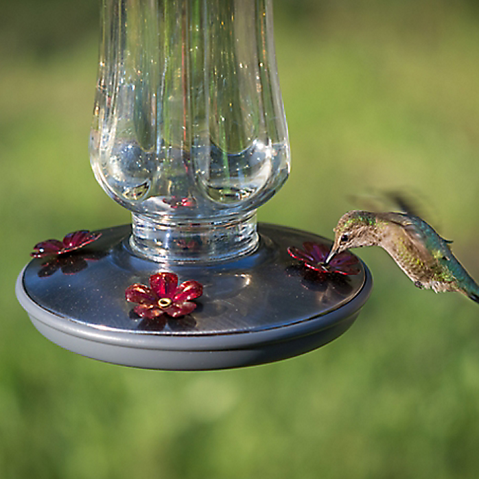 Perky-Pet® 8132-2 Starglow Vintage Hummingbird Feeder, Clear