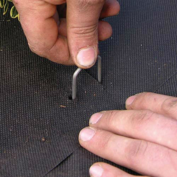 DeWitt® AP75 Weed Fabric Anchor Pins, 6" x 1" x 6", 75-Pack