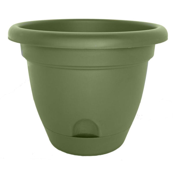Bloem LP1042 Lucca Self-Watering Plastic Planter, Living Green, 10"