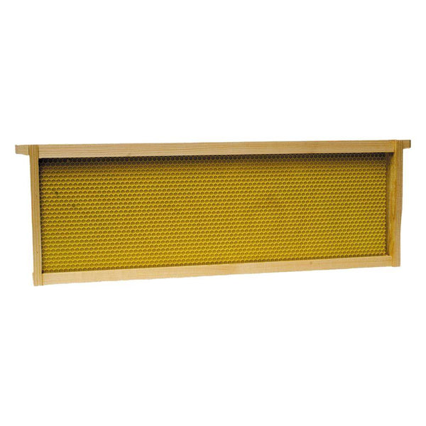 Harvest Lane Honey® WWFFM-102-5 Medium Honey Super Frame w/Foundation, 5-Pack