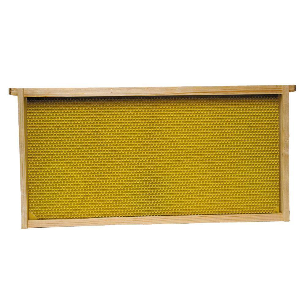 Harvest Lane Honey® WWFFD-101-5 Deep Brood Frame w/ Foundation, Assembled, 5-Pk