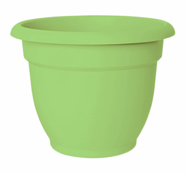 Bloem AP1025 Ariana Planter with Self-Watering Disc Insert, Honey Dew, 10"