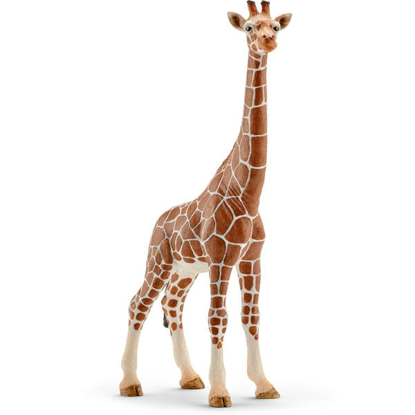 Schleich® 14750 Female Giraffe Toy for Ages 3 & Up, Plastic, Tan
