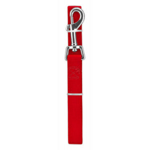 Pet Expert 31870TV Nylon Dog Leash, Red, 1" x 6'