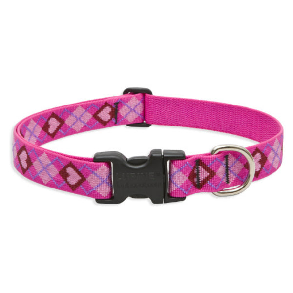 Lupine 14252 Originals Adjustable Collar for Medium Dogs, 1" x 12-20"