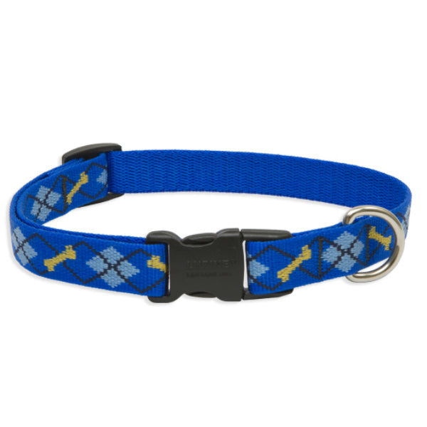 Lupine 41802 Adjustable Collar for Medium Dogs, Dapper Dog, 3/4"x13"-22"