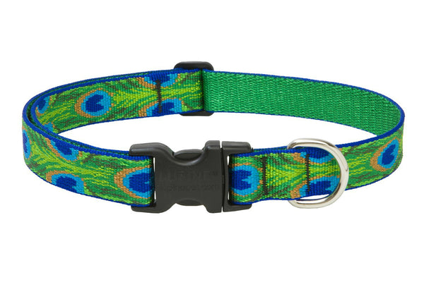 Lupine 32652 Originals Adjustable Collar for Medium Dogs, Tail Feathers, 1"x12-20"