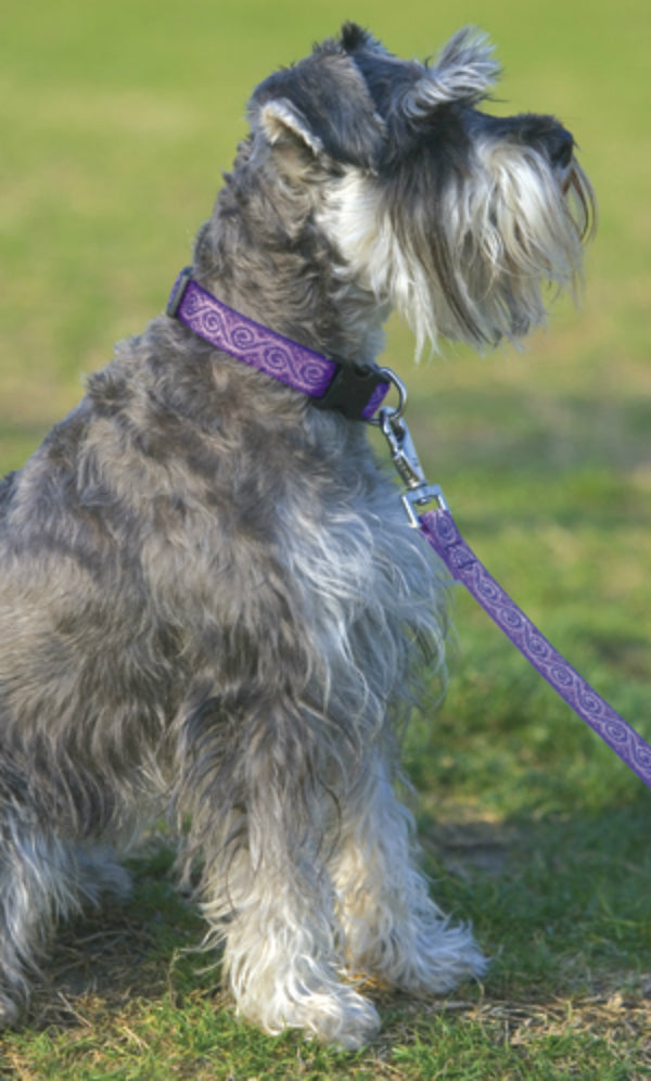 Lupine 96909 Originals Padded Handle Medium Dog Leash, Jelly Roll, 3/4" x 6'