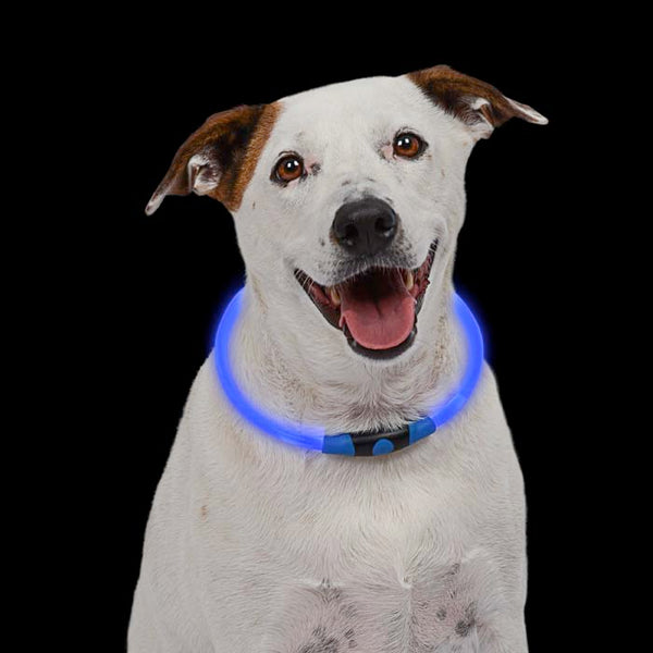 Nite Ize® NHO-03-R3 NiteHowl™ LED Safety Dog Collar Necklace, Universal, Blue