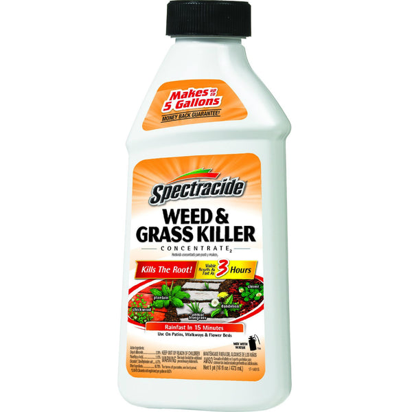 Spectracide® HG-66001 Weed & Grass Killer Concentrate, 16 Oz