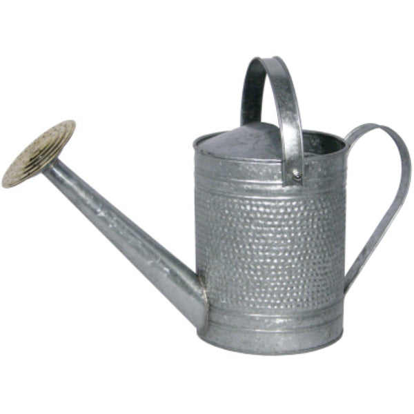 Robert Allen MPT01191 Jameson Galvanized Watering Can, 1 Gallon
