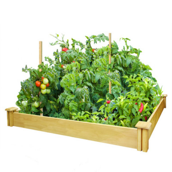 Miracle-Gro® RCMG4S4B Cedar Raised Garden Kit, 4' x 4' x 5.5"