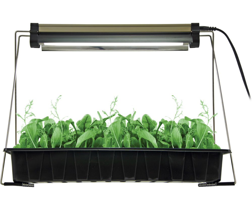 Jump Start™ JSFC12KT2 Lightweight Standing Lighting System, 6400K, 0.2 Amp, 12W