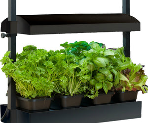 SunBlaster™ SL1600198 Micro Grow Light Garden with 11W Light Bulb, Black, 120V