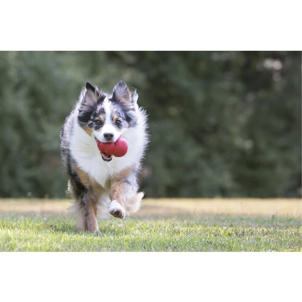 Kong T2 Classic All-Natural Rubber Dog Toy, Red, Medium