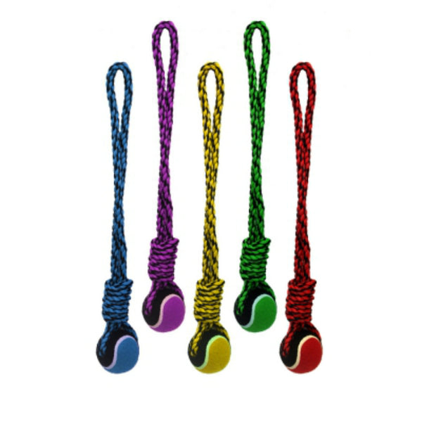 Multipet 29523 Nuts for Knots Rope Tug w/Tennis Ball Dog Toy, Assorted Color,20"
