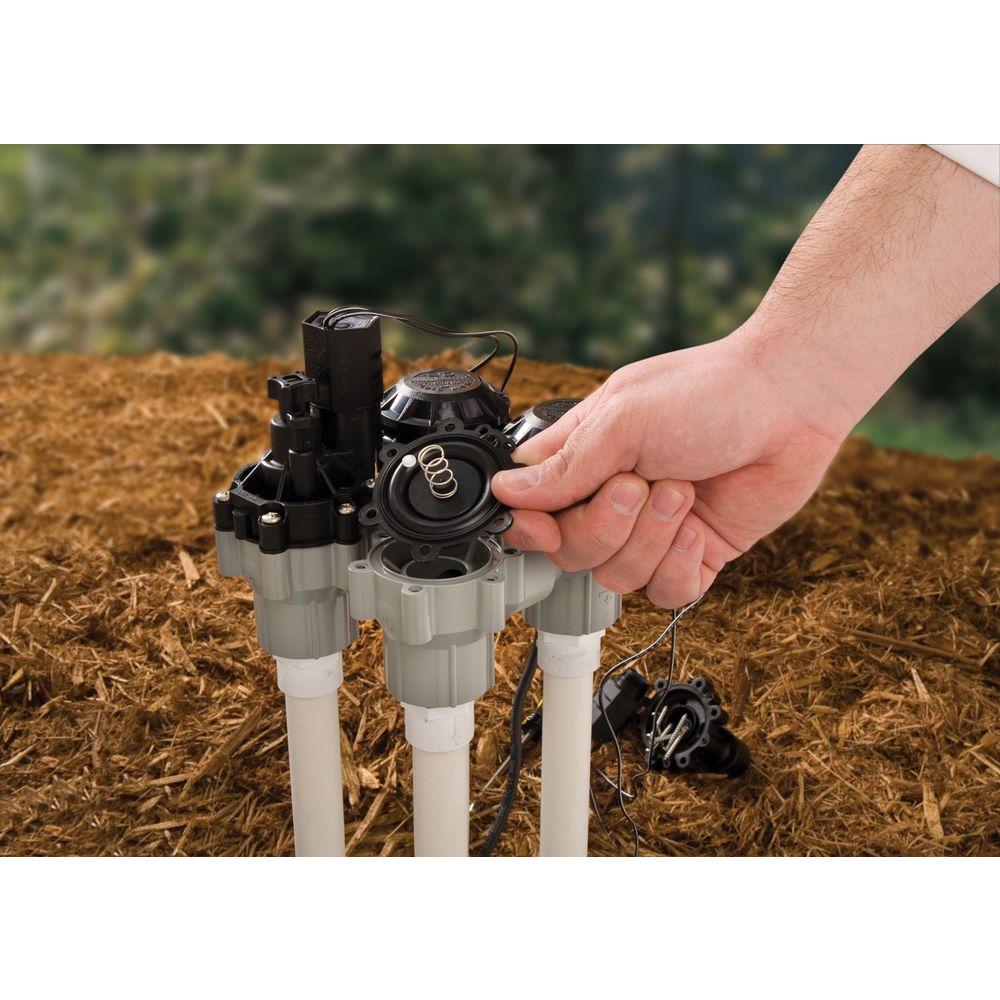 Rain Bird® DASASVF075 Sure Flow™ Automatic Anti-Siphon Valve, 3/4"
