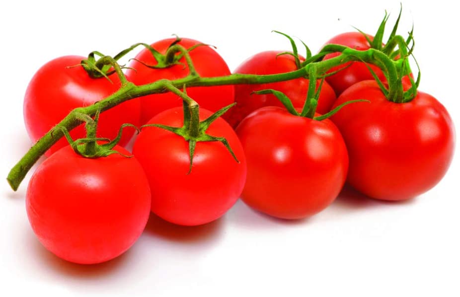 Jobe’s Organics 09086 Slow Release Plant Food with Biozome, Vegetable & Tomato, 1-Lb
