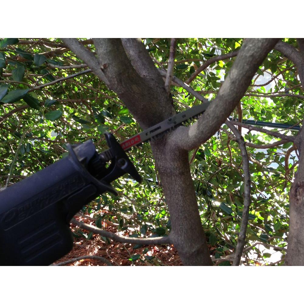 Diablo DS0905FG5 Fleam Ground Reciprocating Saw Blade for Pruning, 5 TPI, 9", 5-Pack