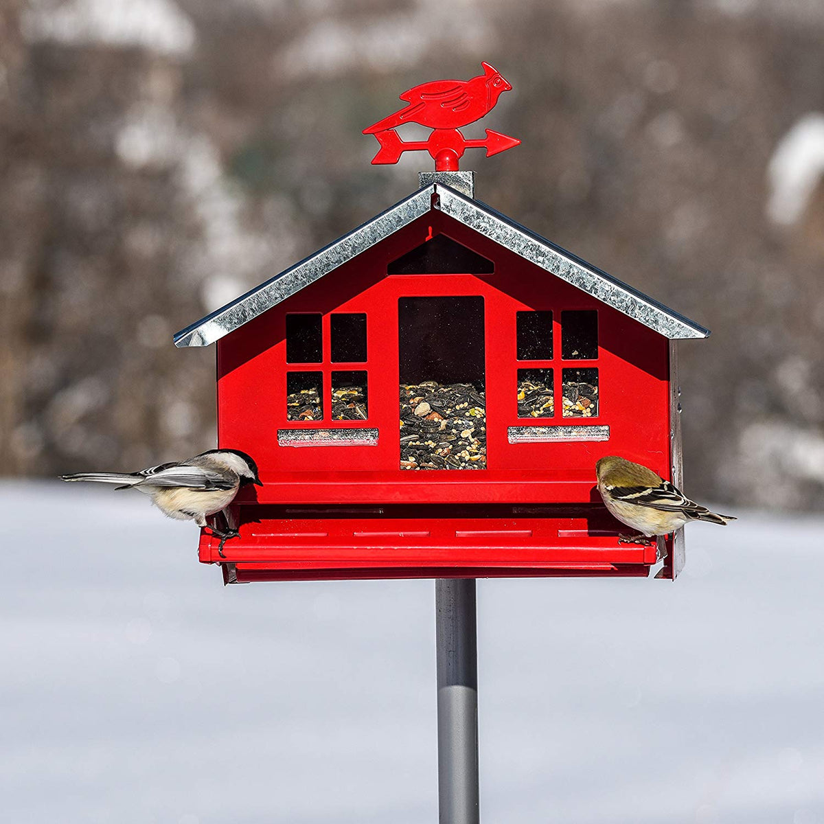 Perky-Pet 338 Squirrel-Be-Gone II Country Style Wild Bird Feeder, 8 Lb Capacity, Red