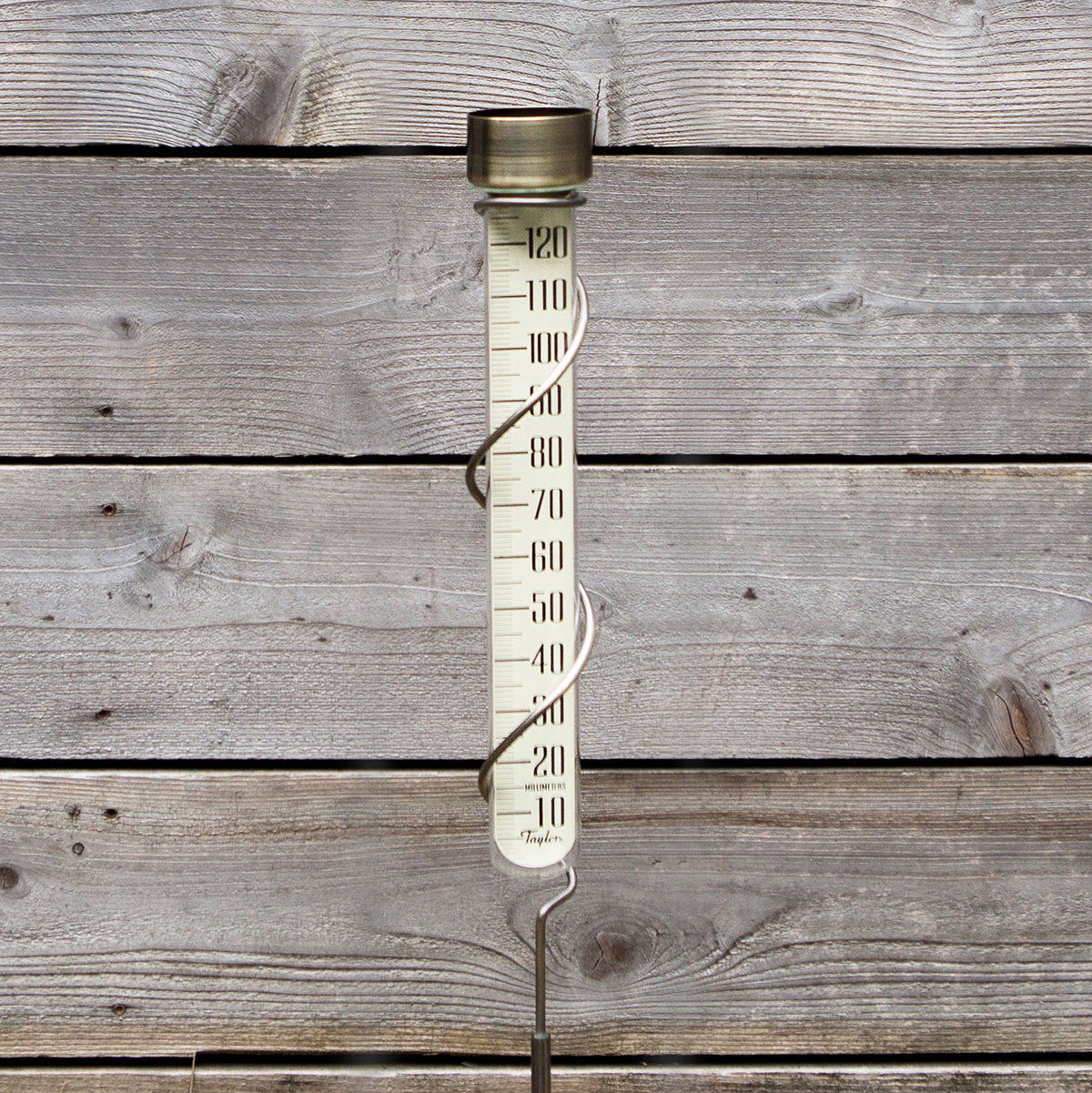 Taylor 484BZ Bronze-Finished Aluminum & Glass Rain Gauge, 27"