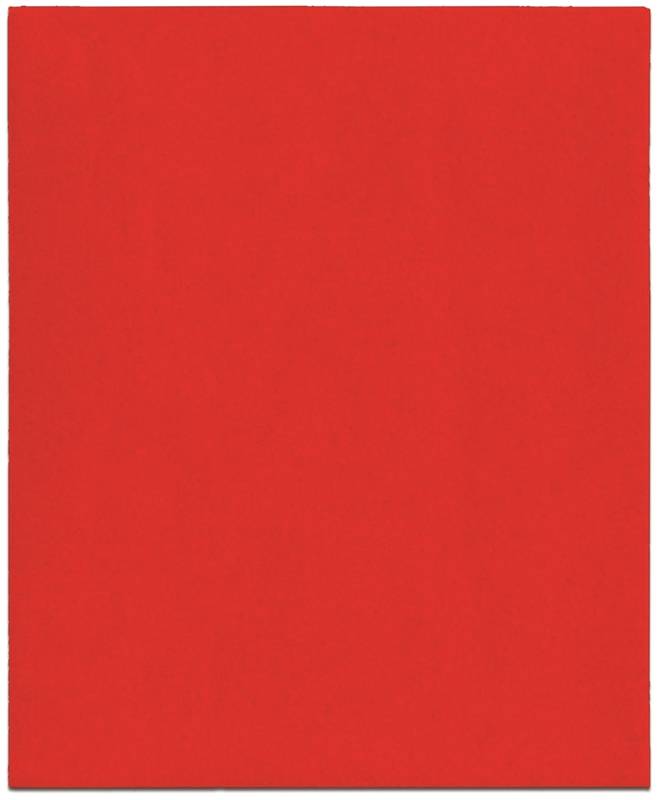 Diablo DCS045040S06G Clamp-On Sanding Sheets, 40-Grit, 4-1/2" x 5-1/2", 6-Pack