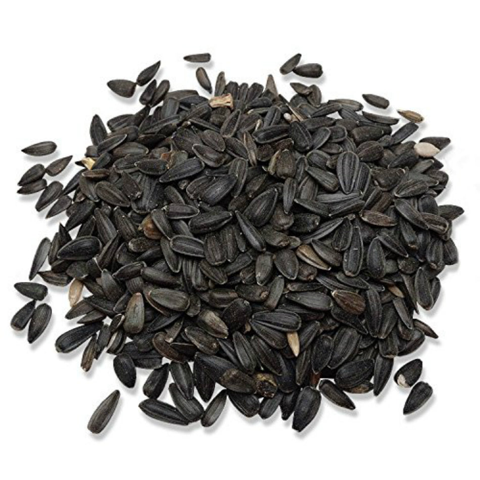 Audubon Park 12259 Black Oil Sunflower Seed Wild Bird Food, 5 Lbs