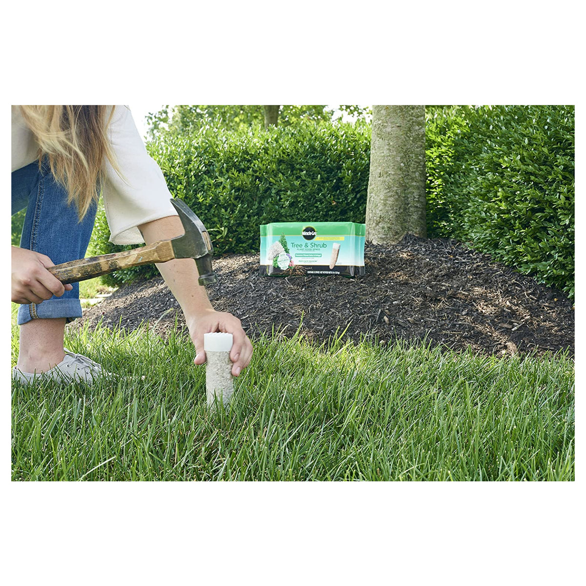 plant shrub fertilizer Miracle-Gro Tree & Shrub Fertilizer Spikes