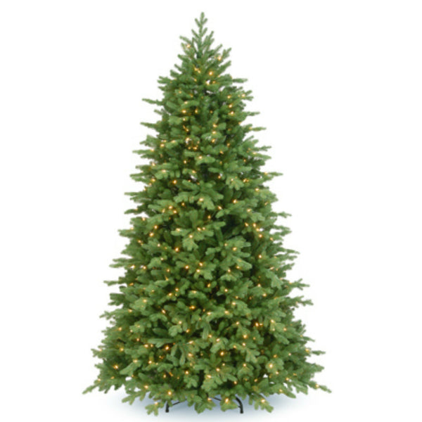 National PEPO2-308P-75 Princeton Fraser Fir Hinged Tree, 800 Clear Lights, 7.5 Feet