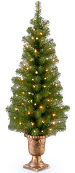 National Tree MC7-344-40 Montclair Spruce Entrance Artificial Tree, 70 Light, 4'