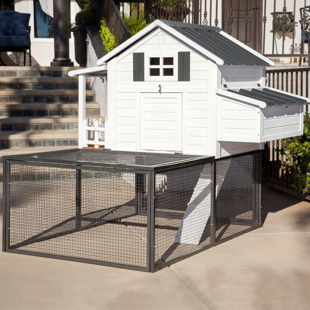 Duncan 39580 Southern Charm Chicken Coop