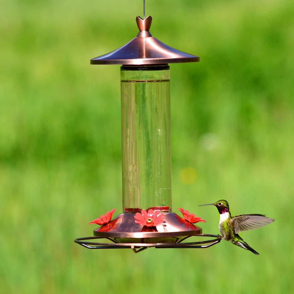 Perky-Pet 710B Elegant Copper Glass Hummingbird Feeder, Holds Upto 12 Oz
