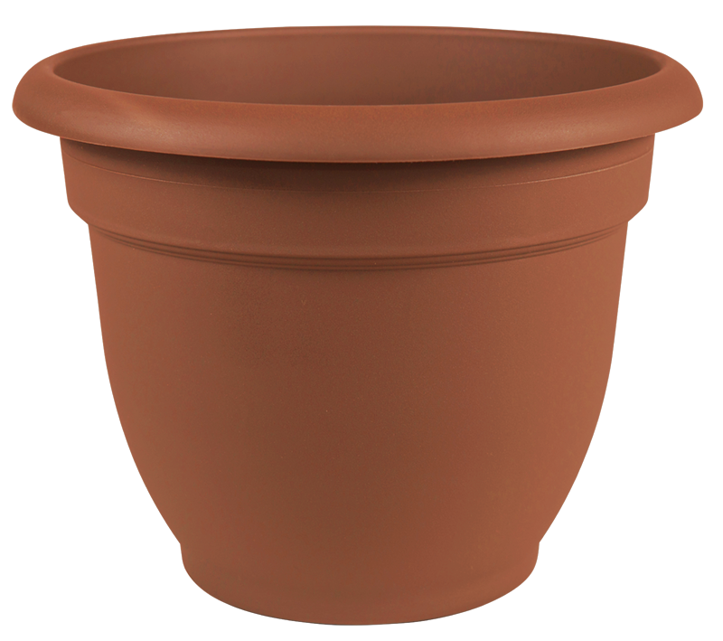 Bloem 20-56108 Ariana Plastic Planter with Self Watering, Terra Cotta, 8"