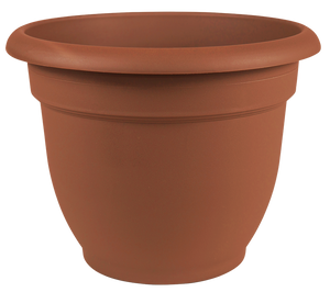 Bloem 20-56110 Ariana Plastic Planter with Self Watering Disk, Terra Cotta, 10"